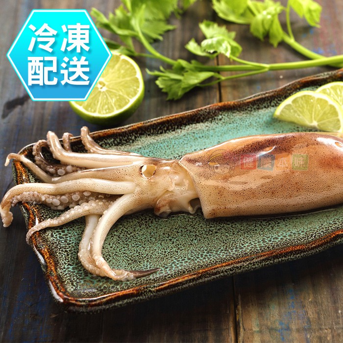 健康本味 新鮮魷魚串220g±10% [CO000136]魷魚 海鮮 烤肉 燒烤 年菜