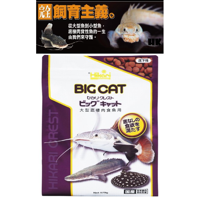 魚匠免運 高夠力hikari 大型肉食性底棲魚飼料 日本原裝 紅尾鴨嘴魟魚鱘魚恐龍魚魚飼料底棲飼料大型肉食
