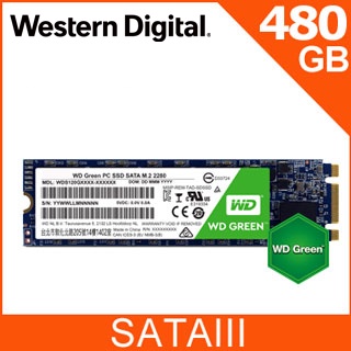 WD SSD 480GB M.2 2280 SATA 固態硬碟