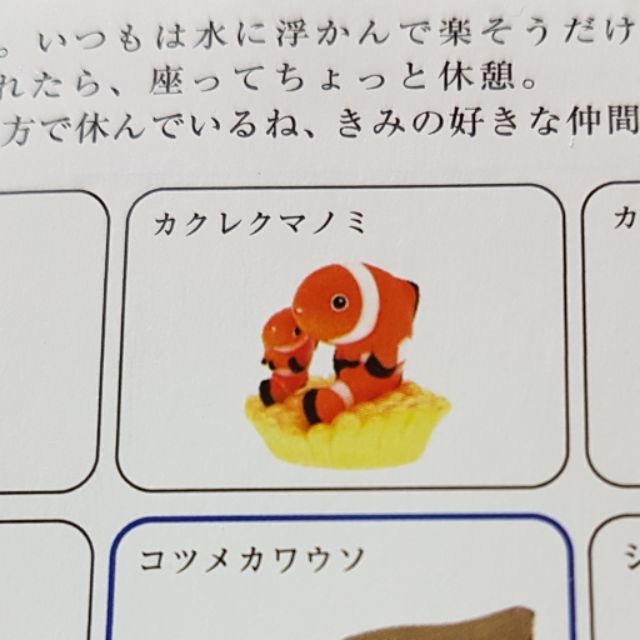 日本大阪 海游館 扭蛋 公仔 手機吊飾 小丑魚