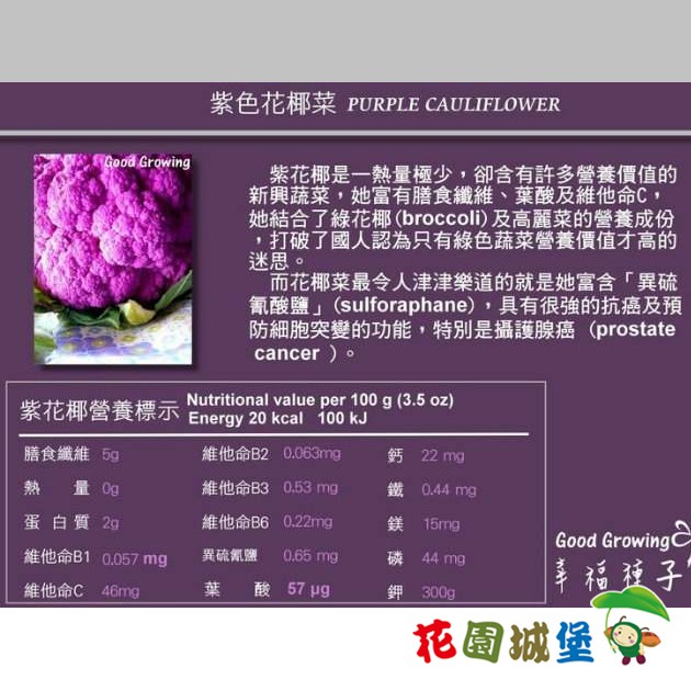 現貨 紫色花椰菜種子花椰菜紫色十字花科紫花椰青素種子 花園城堡 蝦皮購物