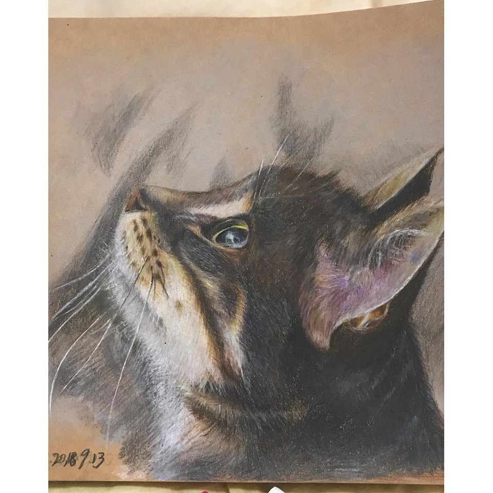 肖像畫免運附框寵物肖像動物肖像畫色鉛筆附畫框 蝦皮購物