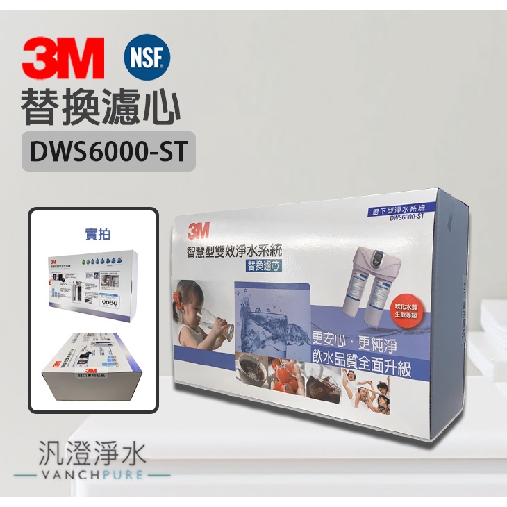 【汎澄淨水】   3M DWS6000 雙管替換濾心 P-165BN 樹脂 DWS6000-C-C活性碳 台灣公司貨