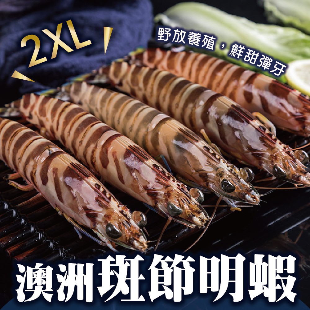 明蝦10 拍賣 評價與ptt熱推商品 21年6月 飛比價格