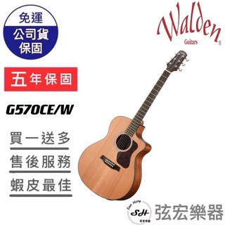 【現貨免運】Walden G570CE/W 面單吉他 民謠吉他 電木吉他 吉他 松木木吉他 紅松木
