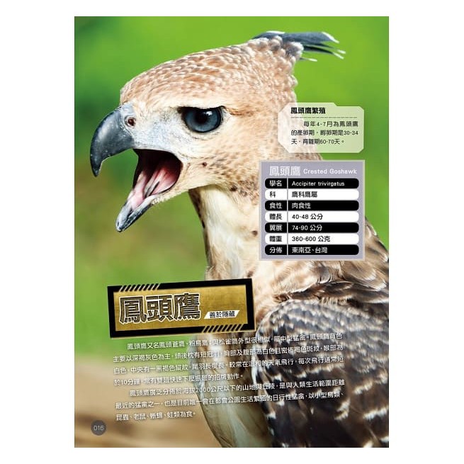 全新 世界飛行動物圖鑑大百科 蝦皮購物