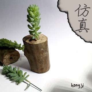 多肉 模擬多肉 微景觀 P78 假多肉植物 辦公室小物 療癒紓壓生日禮物拍照道具居家裝飾咖啡屋商店擺飾迷你木頭底座盆栽
