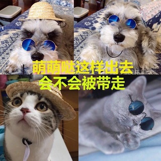 寵物太陽眼鏡 墨鏡 貓咪拍照眼鏡 貓狗藝術眼鏡 寵物用品 狗狗裝酷配件 個性中小型犬貓咪搞怪眼鏡
