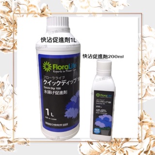 快沾Quick Dip100 Flora Life 鮮花保鮮劑 韓國原裝進口 快沾 鮮花 鮮花保鮮 花盆 繡球花 玫瑰