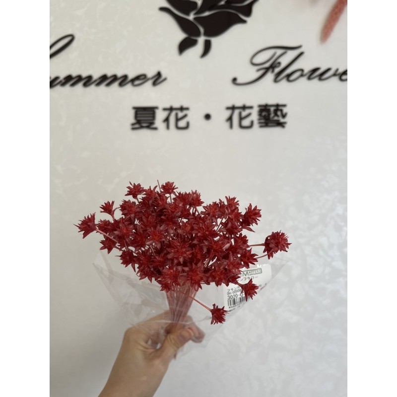 夏花花藝日本大地農園紅色矢車菊 不凋花 乾燥花 蝦皮購物