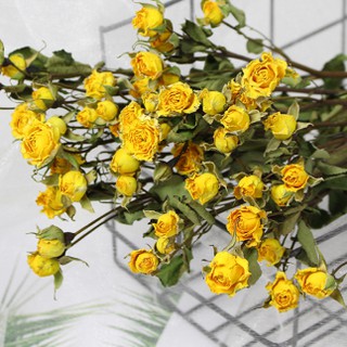 多件優惠 迷你玫瑰乾燥花 乾燥玫瑰 乾燥薔薇 母親節花束 畢業花束 新娘外拍捧花 乾燥花材 鮮花花束 乾燥花束 蝦皮購物