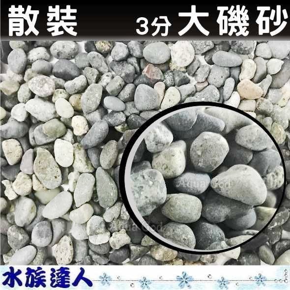 水族達人 底砂 散裝孔雀砂進口大磯砂3分1kg 嚴選孔雀砂大磯沙砂石造景裝飾 蝦皮購物