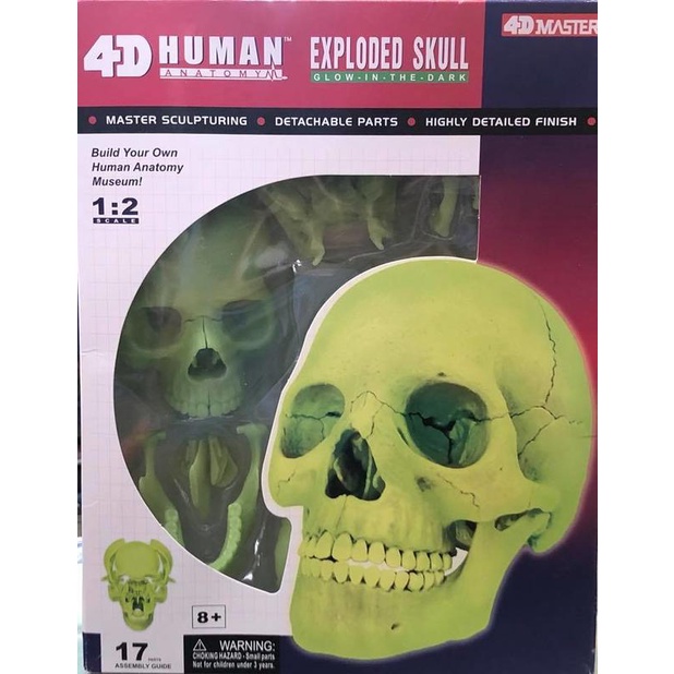 《模王》4D MASTER 頭骨 夜光版 微亮 不會很亮HUMAN EXPLODED SKULL  完成品 比例 1/2