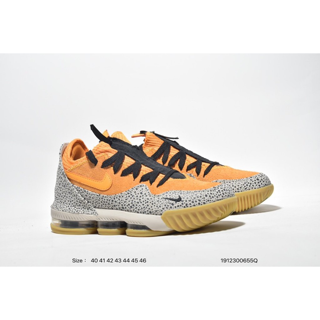 lebron safari