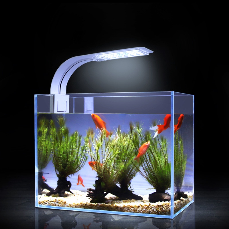 限時下殺 台灣安規認證水草夾燈白光 水草缸 魚缸夾燈 水族夾燈 水草燈 Led夾燈 側夾燈 小型魚 蝦皮購物