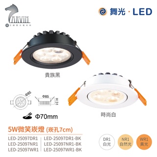 舞光 微笑 崁燈 投射燈 LED-25090系列 燈體可調角度30度 崁入孔 7cm / 9cm 全電壓