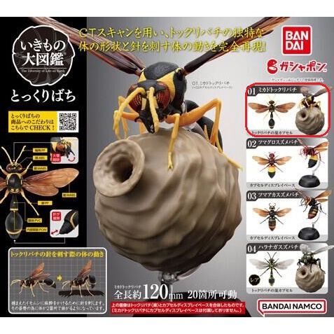 BANDAI GASHAPON 昆蟲圖鑑  蜜蜂 虎頭蜂 壺蜂 環保扭蛋