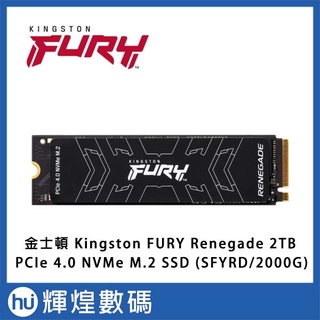 金士頓 Kingston FURY Renegade 2TB PCIe 4.0 NVMe M.2 SSD 0101特殺