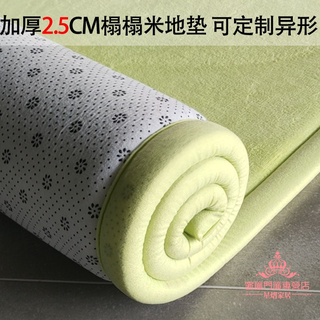 【特厚2.5cm】加厚珊瑚絨地毯 厚地墊 床邊地毯 榻榻米墊飄窗墊 地墊臥室 長地墊 加厚地墊 床邊地毯 寶寶嬰兒防摔爬