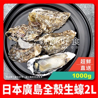 【勤饌好食】日本 廣島 全殼 生蠔 2L (1000g±10%/包）冷凍 帶殼 生蠔 牡蠣 鮮蚵 海鮮 A12C5