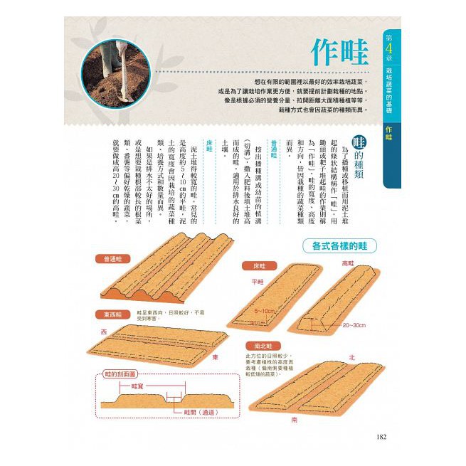 新手學種菜 62種常見蔬菜栽種攻略 蝦皮購物