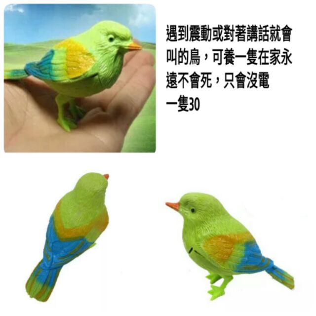 聲控鳥