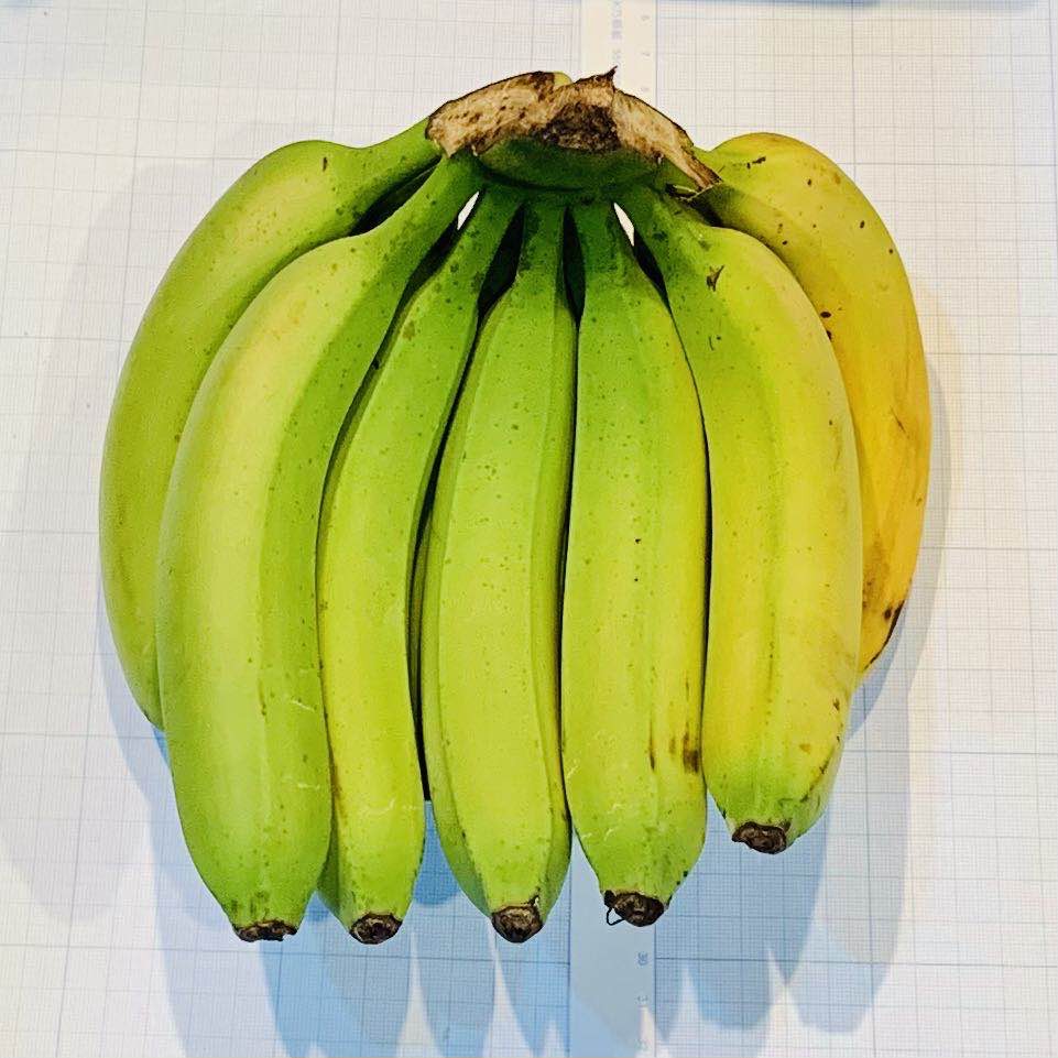 台灣山蕉 香蕉 山蕉 蜜芭蕉 芭蕉 木瓜 蜜梨 水梨 雪梨 市場稀有 清脆 香甜 小農 甜柿 富有甜柿 次郎甜柿 梨山 蝦皮購物