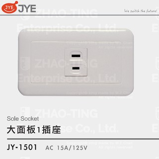 JYE 中一電工 大面板系列開關 插座 JY-1501