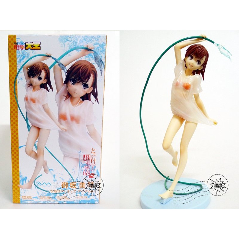 中国版プリングルス 御坂美琴（箱のみ） 中国版プリングルス 御坂美琴（箱のみ）