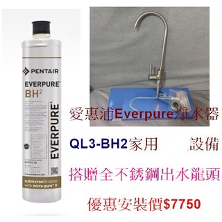 臺灣愛惠浦淨水器Everpure QL3-BH2 家用裝置