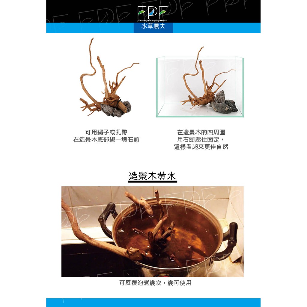 超取免運費 杜鵑木 重酸洗嚴選青龍石 水草造景 代客規劃 龍延石 青龍石 沈木 流木 代客酸洗 蝦皮購物