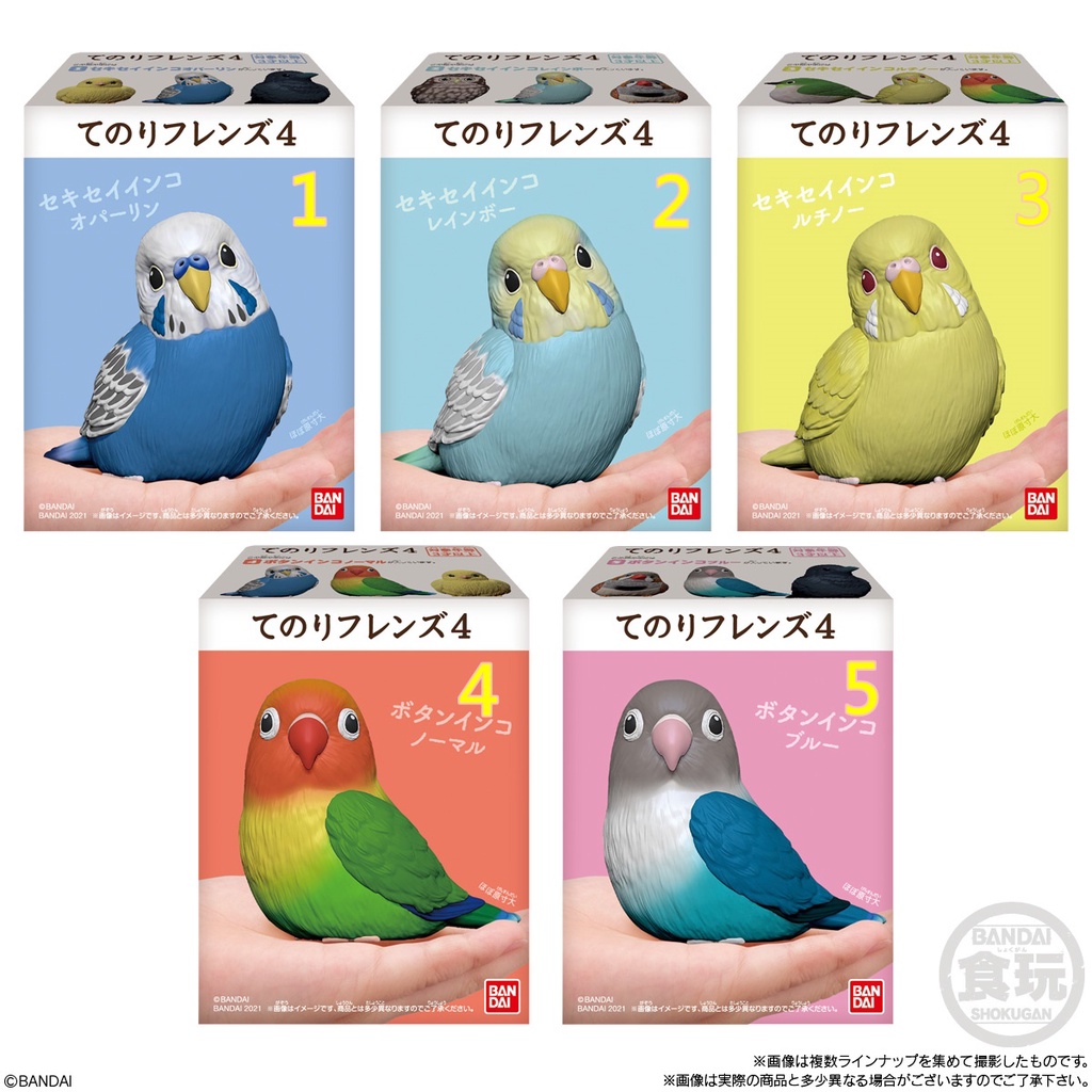 文鳥盒玩- 優惠推薦- 2022年7月| 蝦皮購物台灣