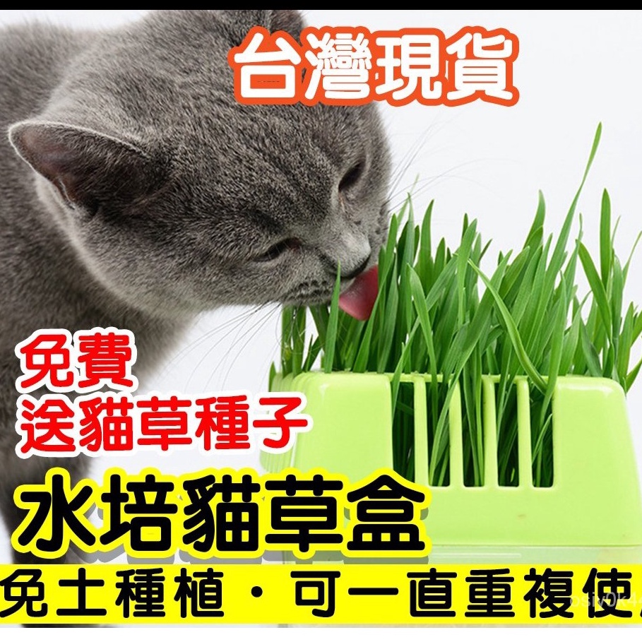 水培貓草盒的價格推薦 21年11月 比價比個夠biggo