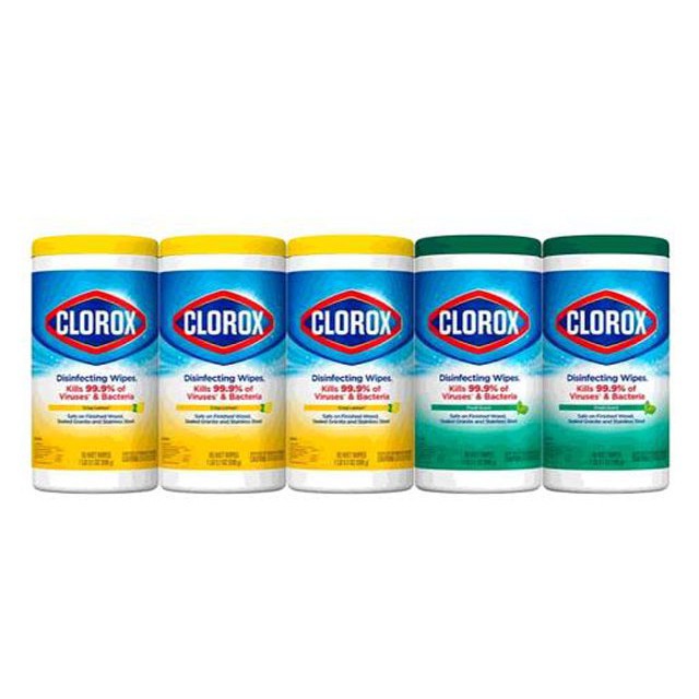 Clorox 高樂氏 萬用清潔擦拭濕巾 85張 X 5入 W2189436 3組