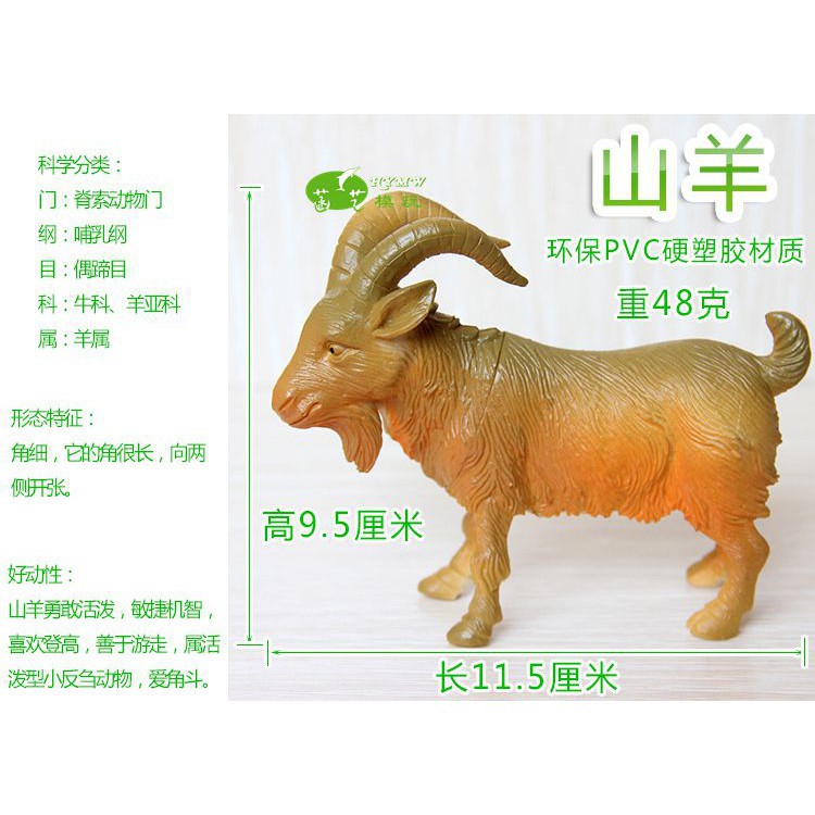 模擬山羊模型農場牧場動物道具pvc環保塑膠早教玩具遊戲拍攝道具 蝦皮購物