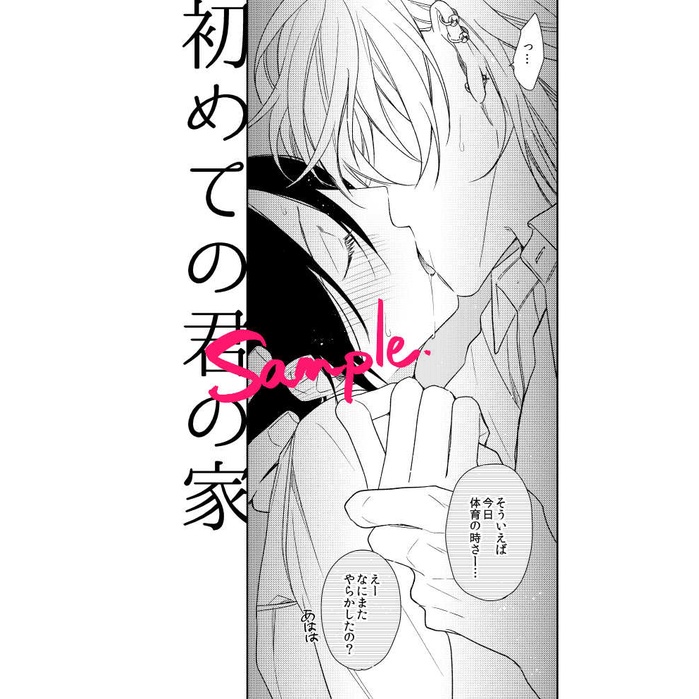 ５冊 ハイキー ローキ 僕を悪い子 来世の君に 最大音量で 灰田ナナコ Bl Www Studiolegaleballati It