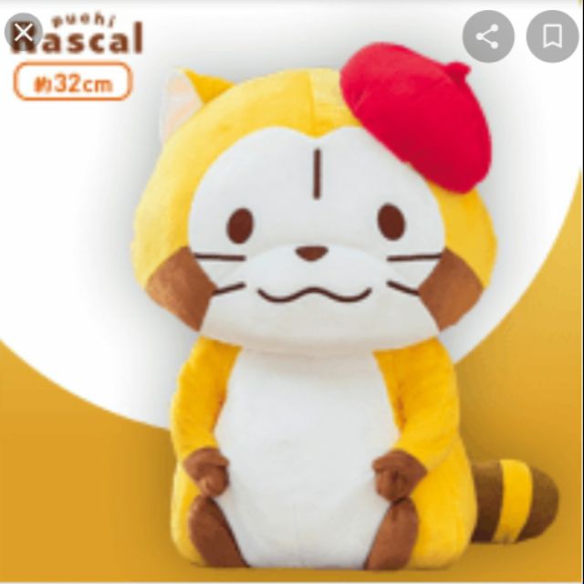 【 現貨 】 日本 拉斯卡爾 小浣熊娃娃 Petit Rascal