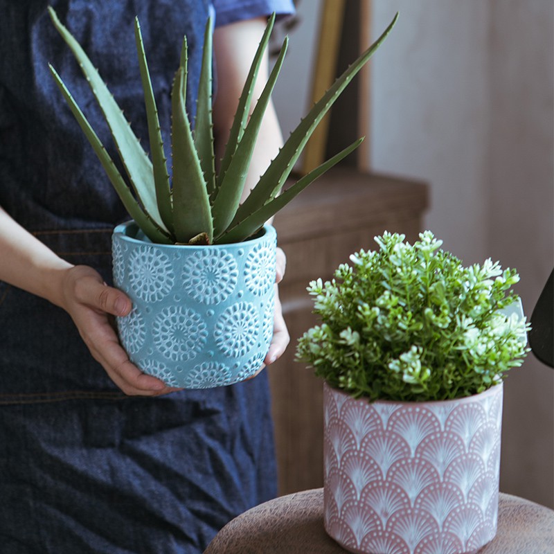 Zakka 盆栽 園藝植作優惠推薦 居家生活年10月 蝦皮購物台灣