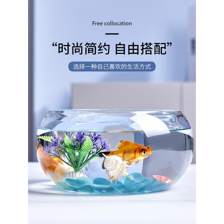 魚缸 玻璃魚缸 小魚缸 桌面魚缸 水族箱 生態圓形 玻璃金魚缸 大號烏龜缸 迷妳小型造景水培花瓶