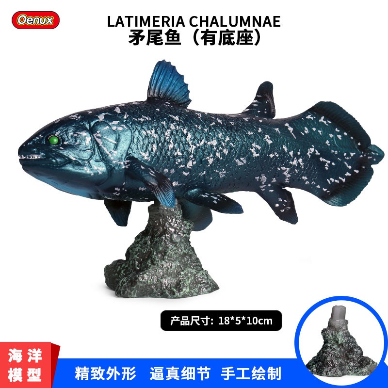 ☸科學奇語☸兒童實心仿真海洋動物模型遠古史前海底生物矛尾魚模型玩具擺件