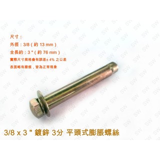 壁虎 螺絲 R4 3分 3/8 x 3 " 鍍鋅 平頭式壁虎 三分（10支價50元）平頭膨脹螺絲《昇瑋五金》