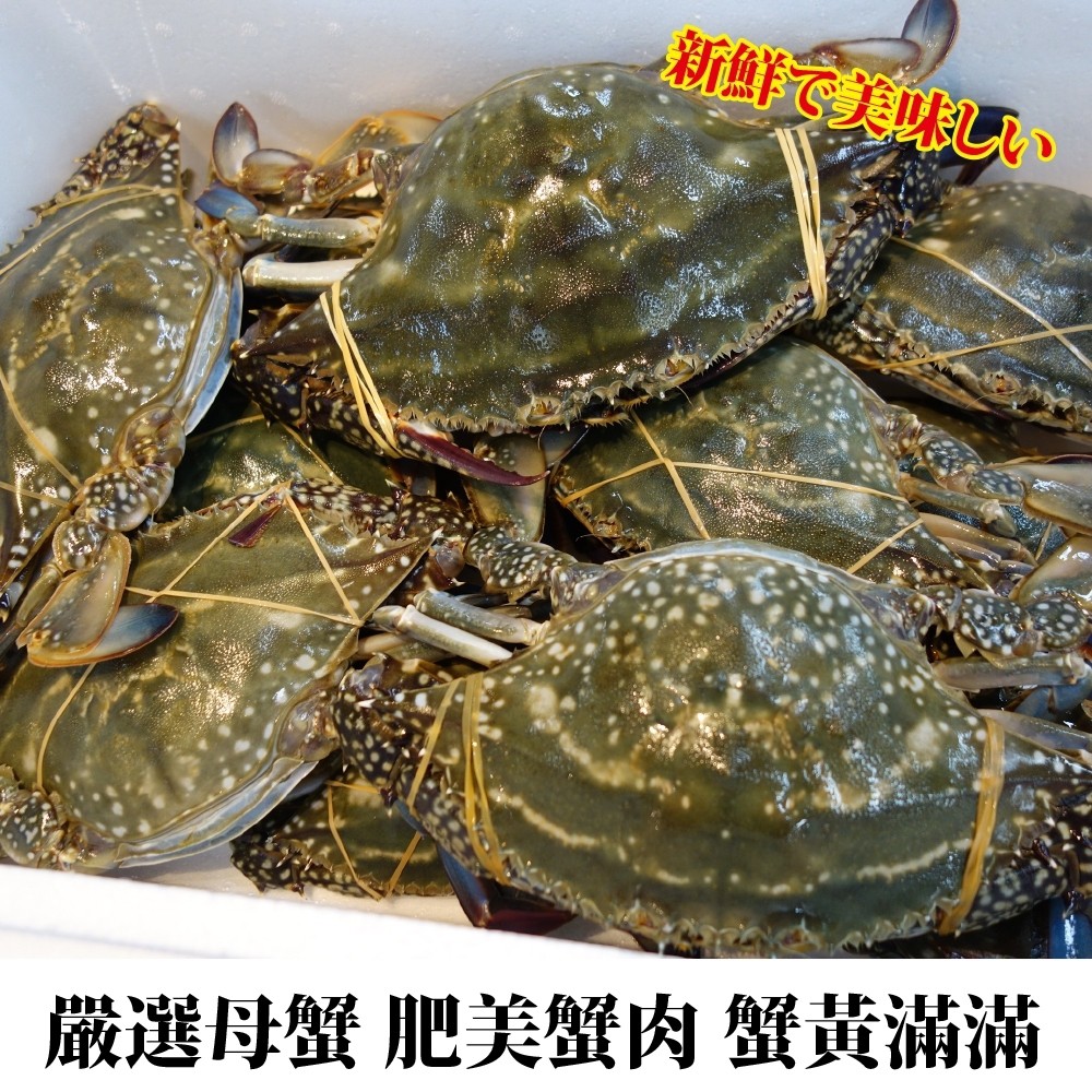斯里蘭卡母花蟹 海陸管家 全省免運 蝦皮購物