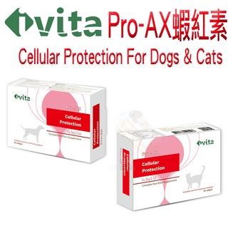 [免運,24HR出貨]IVITA Pro AX蝦紅素 -60粒 護眼明亮 毛髮增艷 維持心血管系統正常功能