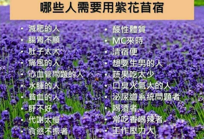 嘉康利紫花苜蓿 純天然公司貨 蝦皮購物
