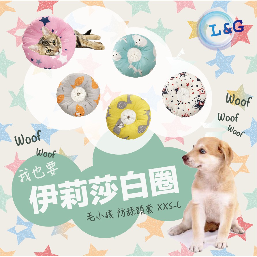 莉犬手術
