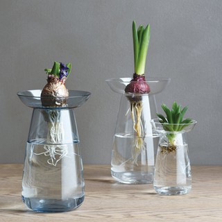 【日本KINTO】AQUA CULTURE玻璃花瓶(小) 共3色《WUZ屋子-臺北》KINTO 玻璃 花瓶