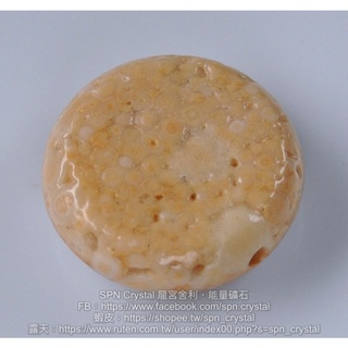 《※精品水晶※》能量至寶 - 龍宮舍利原礦墜 Dragon Palace Relics Stone C210914