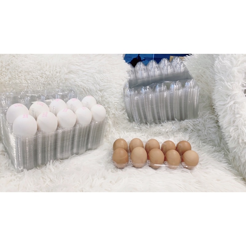 台灣現貨 高品質雞蛋易扣盒包裝盒 雞蛋收納盒 透明蛋盒 雞蛋盒 10粒裝 10枚 10顆 塑膠蛋盒 透明包裝盒 歡迎批發