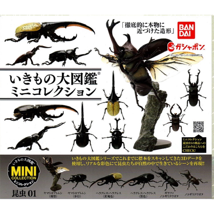 【日玩獵人】日版BANDAI (轉蛋)生物大圖鑑-昆蟲篇01 鍬形蟲 獨角仙 全6種 整套販售