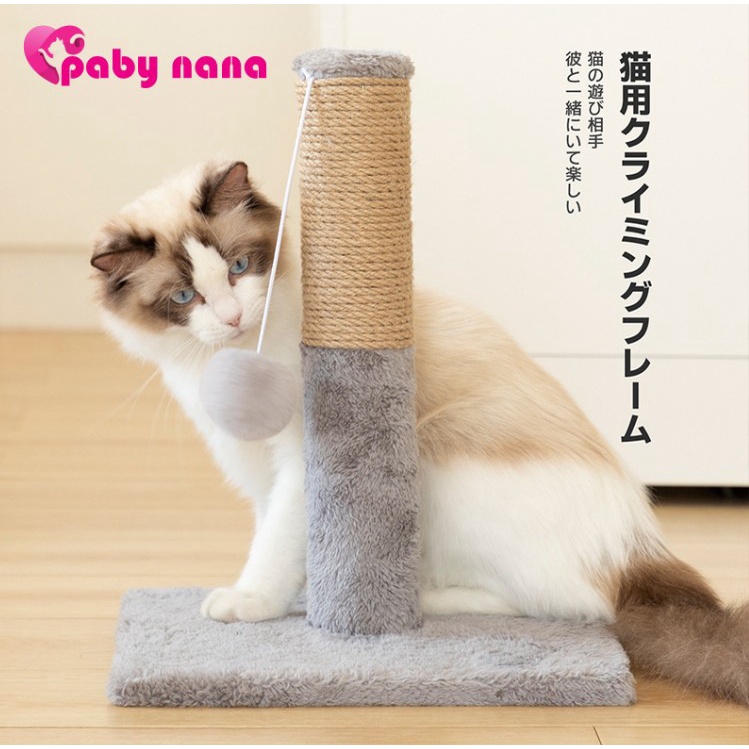 【Dami不是毛小孩】台灣現貨 新款直立式貓抓板 玩具 貓咪玩具 貓抓板